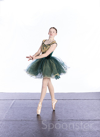 pointe1 (4 of 4)