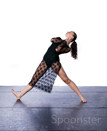 sdt (3 of 4)