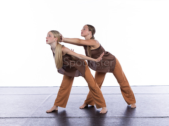 SDT3