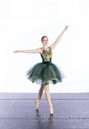 pointe1 (1 of 4)