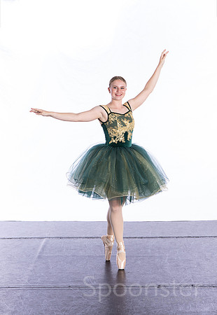 pointe1 (2 of 4)