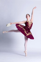 sdt (3 of 9)