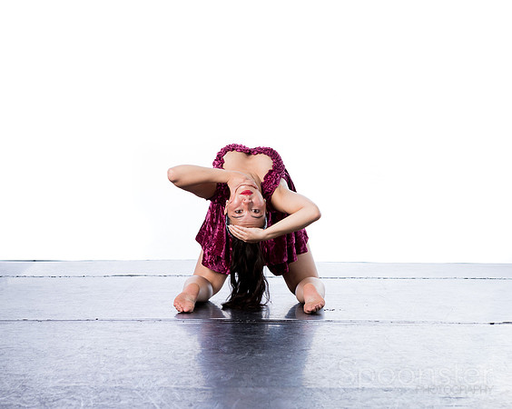 sdt (4 of 6)