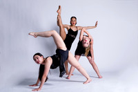 sdt (4 of 4)