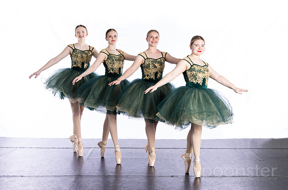 pointe1 (3 of 4)