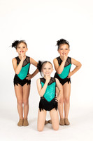 SDT (1 of 4)